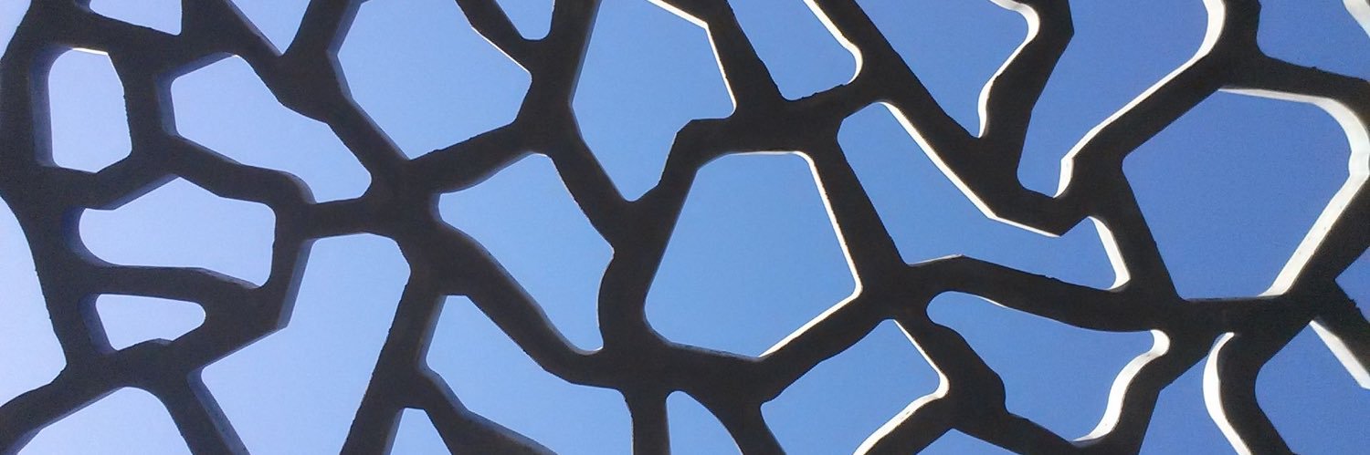 Delphine Veaudor banner