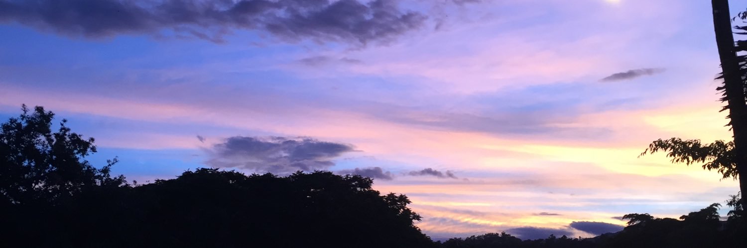 k4212068's profile banner image