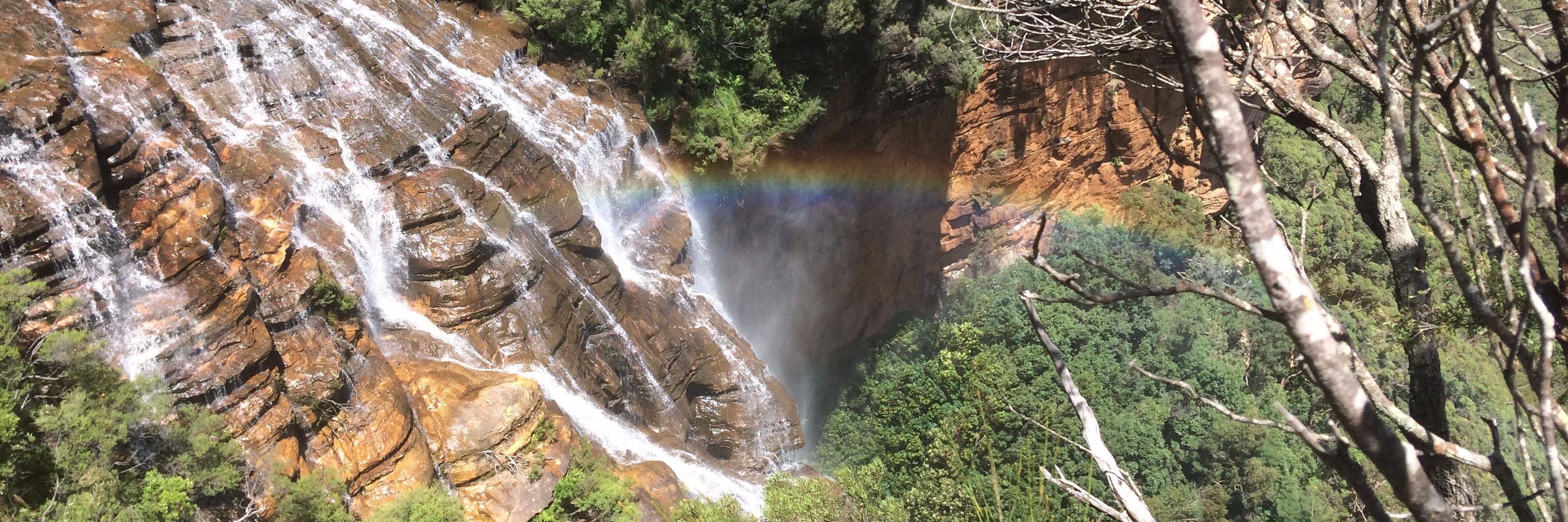 Michelle McCrystall banner