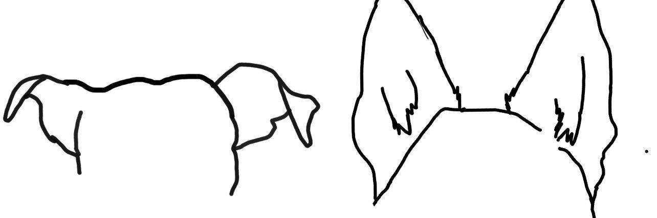 Cen_Bugg15's profile banner image