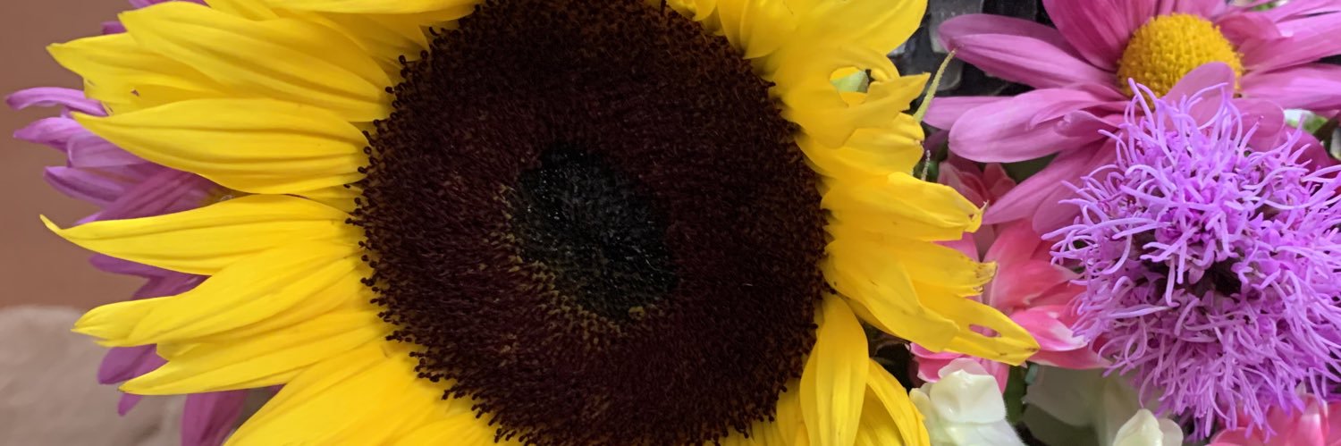 daarianaramirez's profile banner image