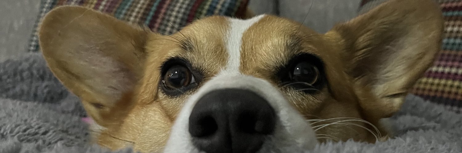 Marinarm3's profile banner image