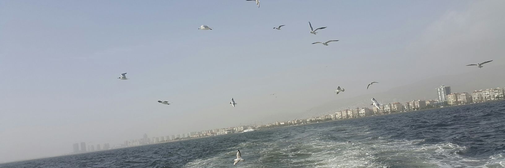 ozlemmmv_'s profile banner image