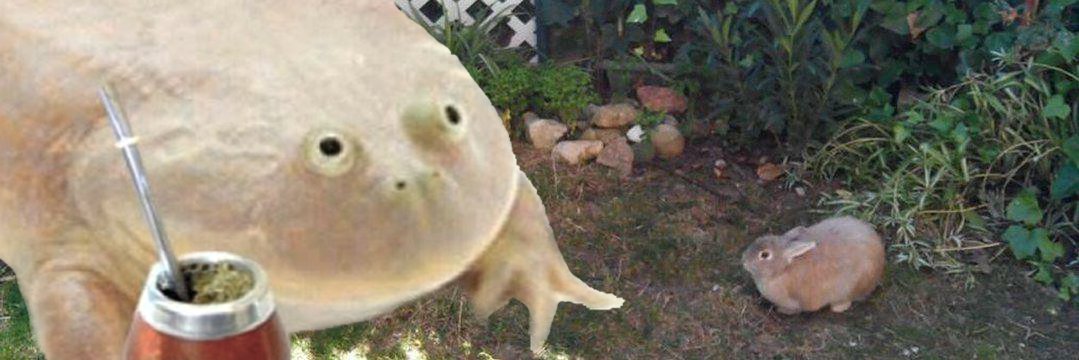 juankubz's profile banner image
