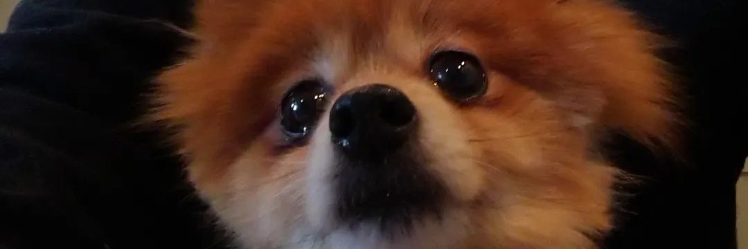 hide5116's profile banner image