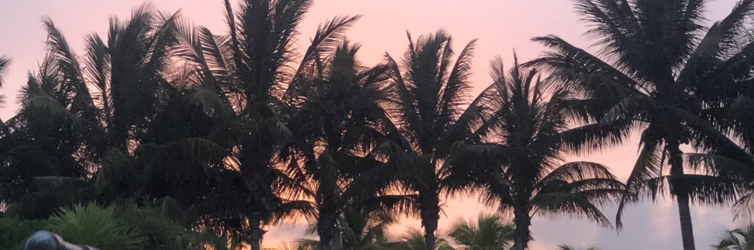 Bernadolly's profile banner image