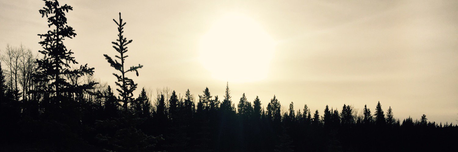 Dr Ruth Mitchell (she/her/ella) banner