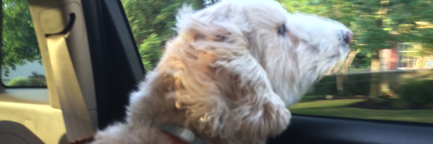 imSwaggerr's profile banner image