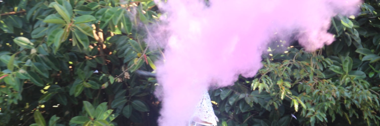 CarlossParis's profile banner image