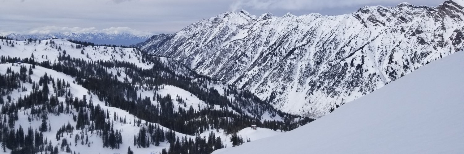 Tsnfts's profile banner image