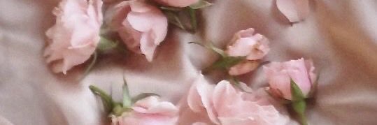 arianadough's profile banner image