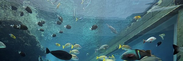ruoneoXT Profile Banner