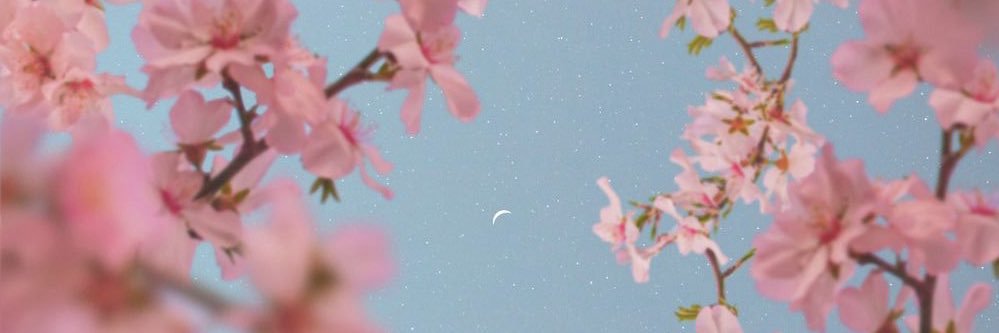 nikulnixcuevas's profile banner image