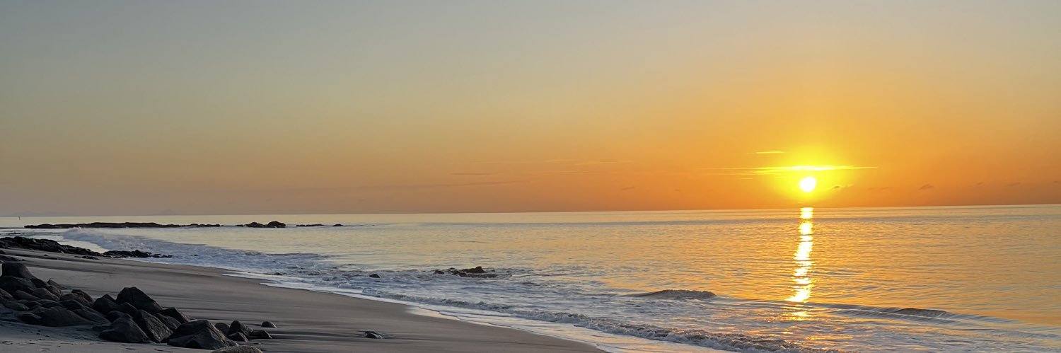 Alessandra banner