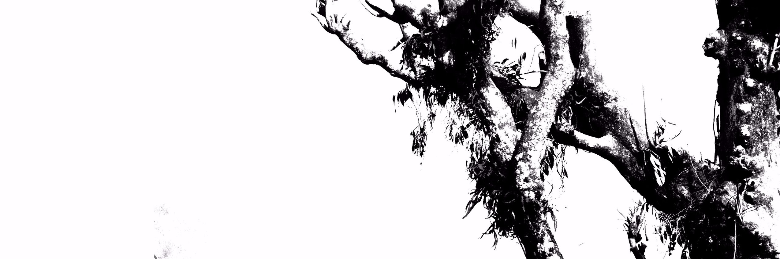 FlowTheoryMusic's profile banner image