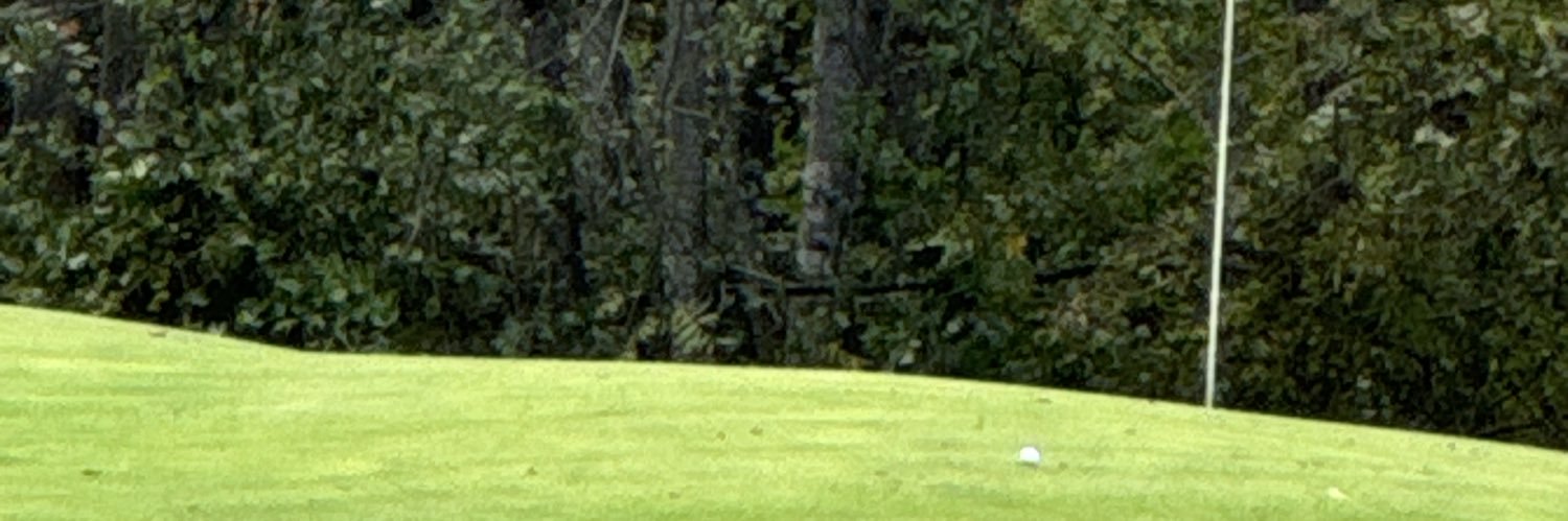 2_bears_2's profile banner image