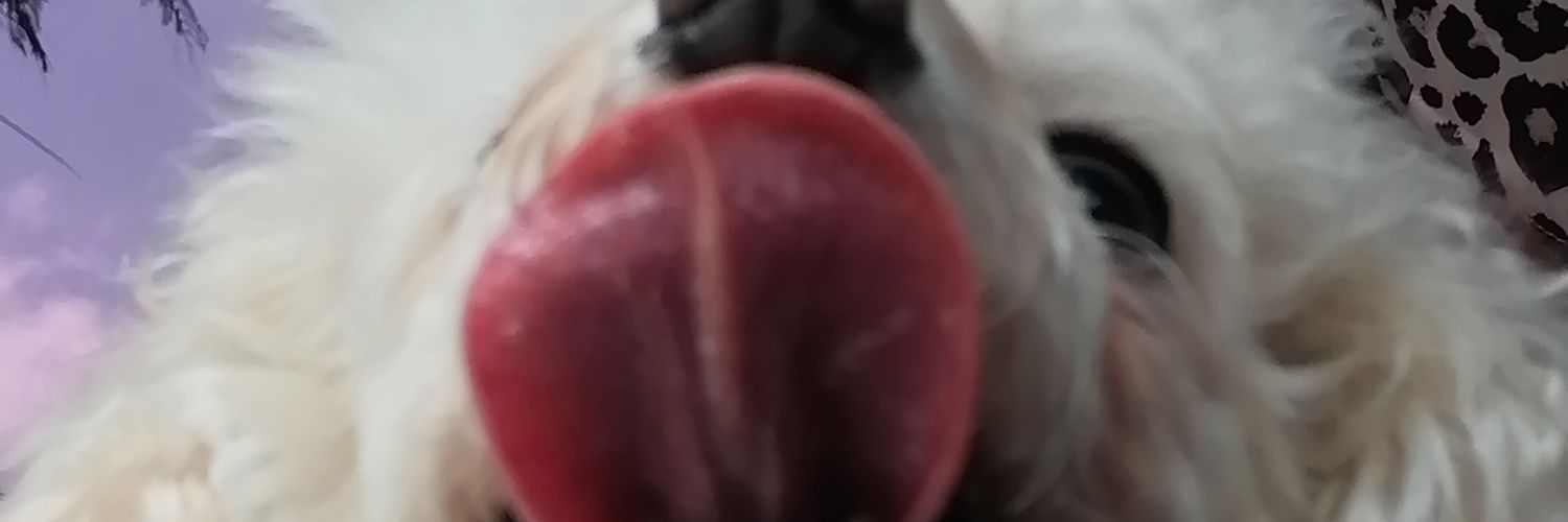 Alejandra97_'s profile banner image