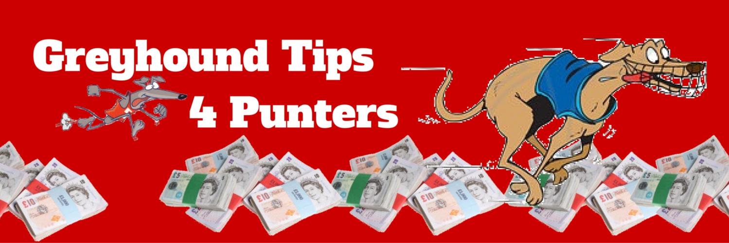 GreyhoundTips4Punter banner