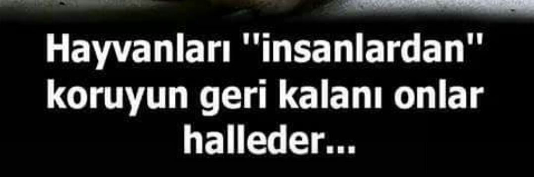GsBurcu5's profile banner image