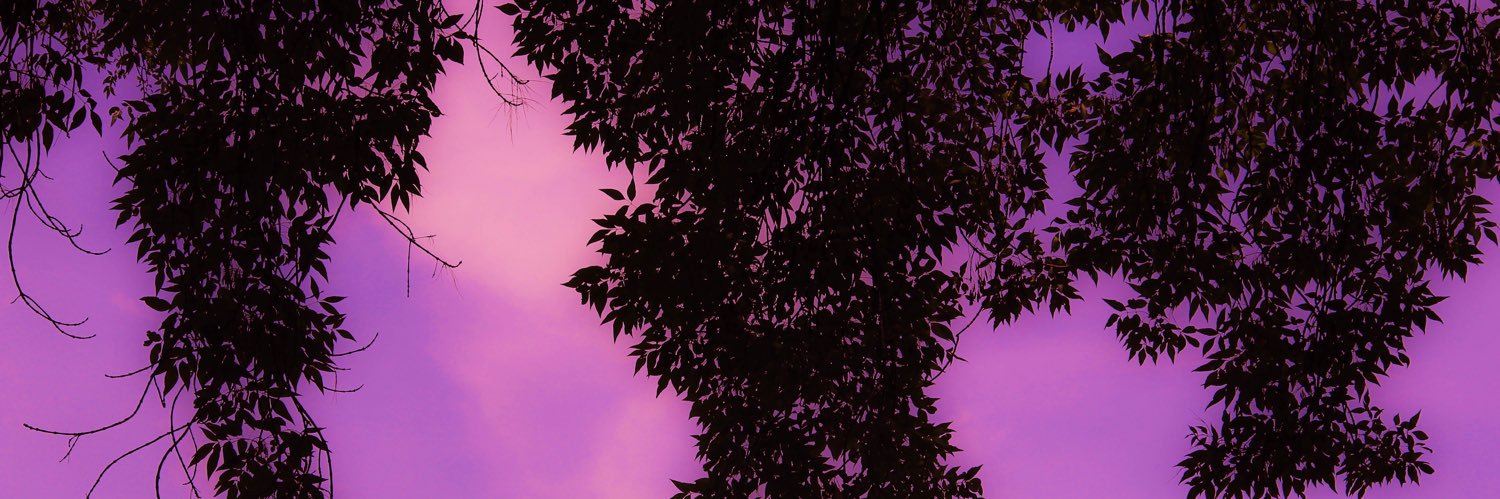 Grimmy_Kortex's profile banner image