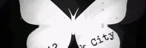 0xNabbit's profile banner image