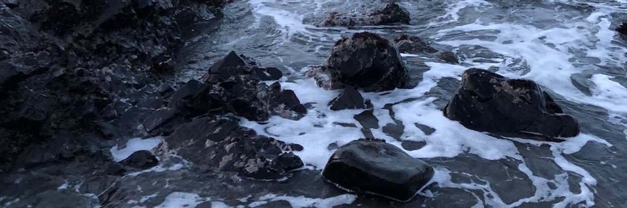 belladelarosaaa's profile banner image