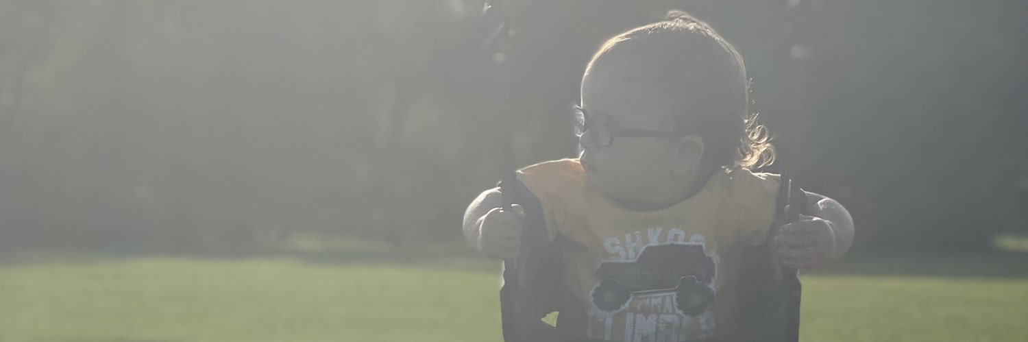 RoseSkees's profile banner image