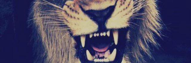 DillonMarchello's profile banner image