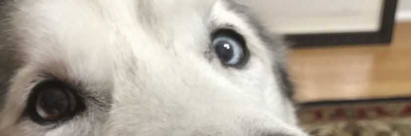 lilhamlett's profile banner image