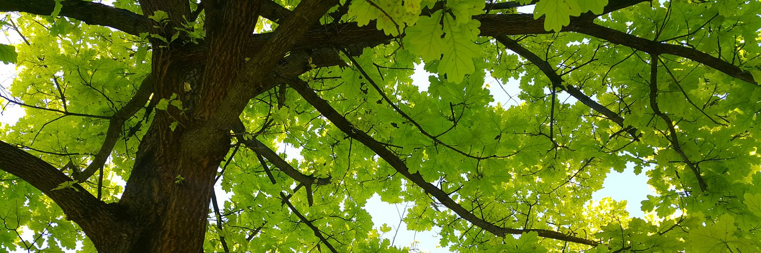 LLewe77yn's profile banner image
