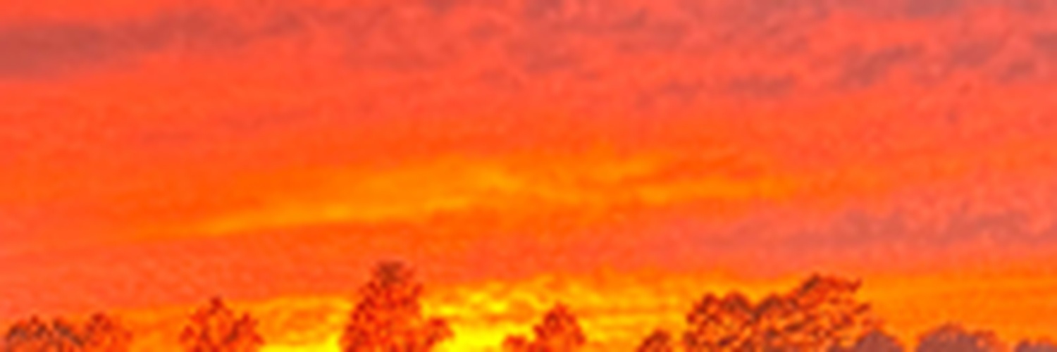 realtlrjackson's profile banner image