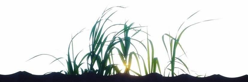 qiangtc's profile banner image