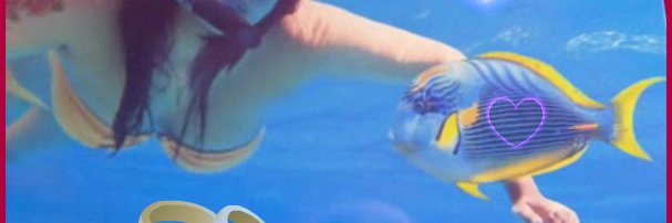 alexpiperohyeah's profile banner image