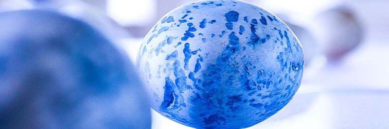 The Whisper Gallery banner