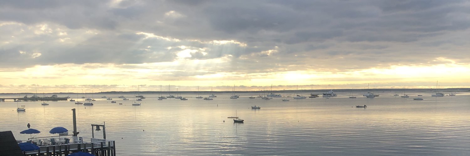amyblindquist's profile banner image