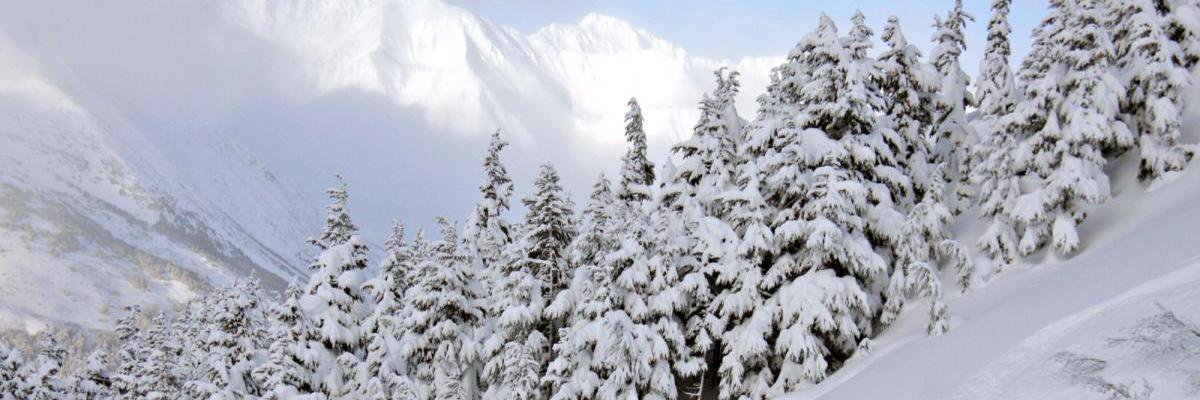 aggressiveski's profile banner image