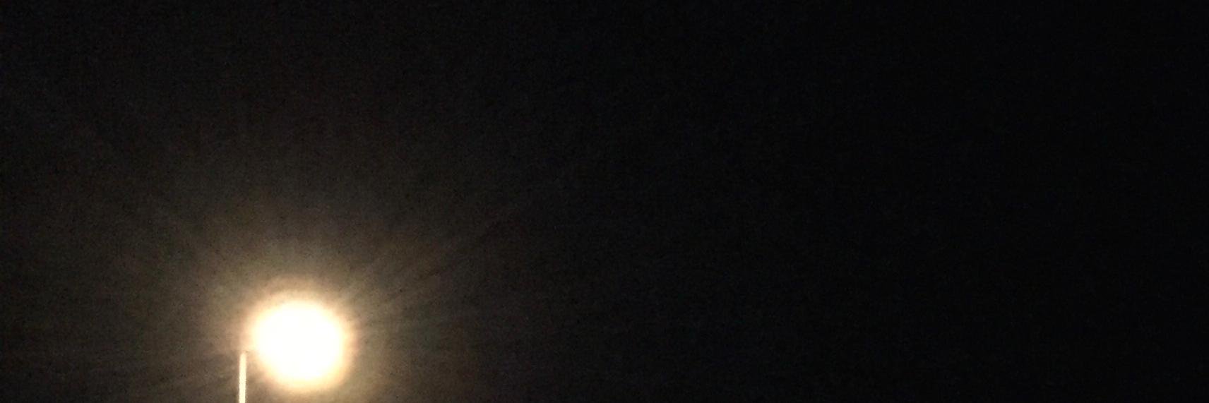 Twenty-three Hanging Trees banner