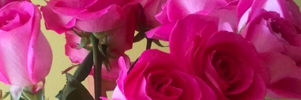 Deanna_APR Profile Banner