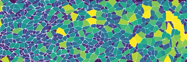 tomorrow_bot Profile Banner