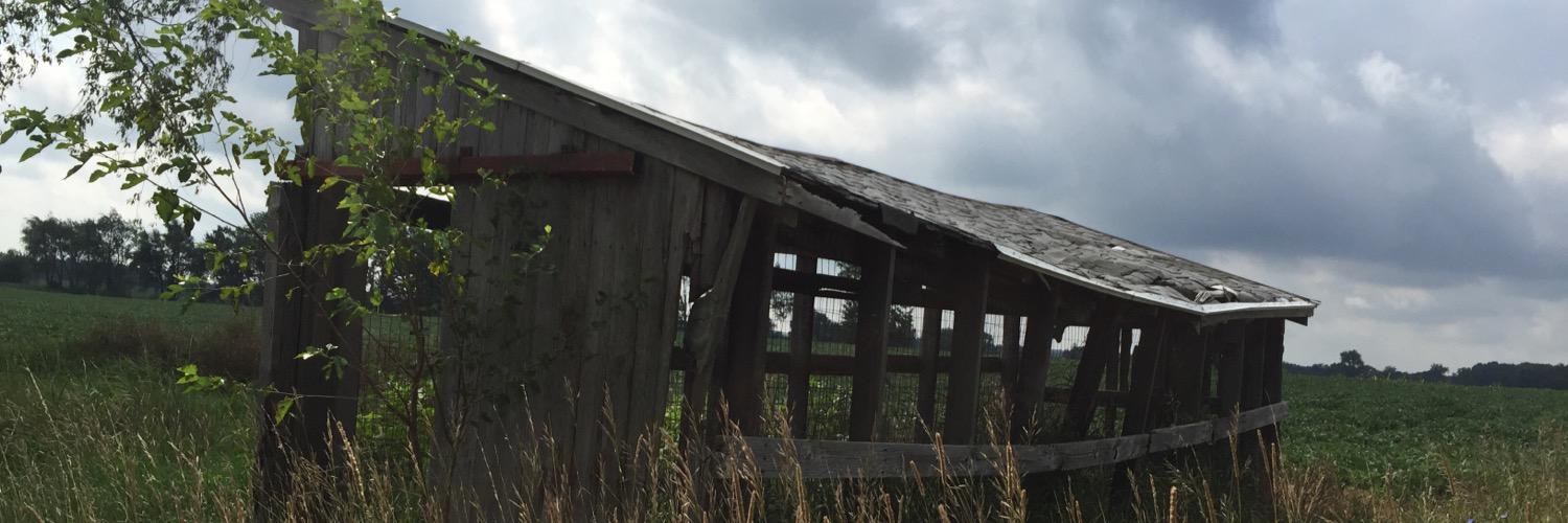 Patricia Klinedinst banner