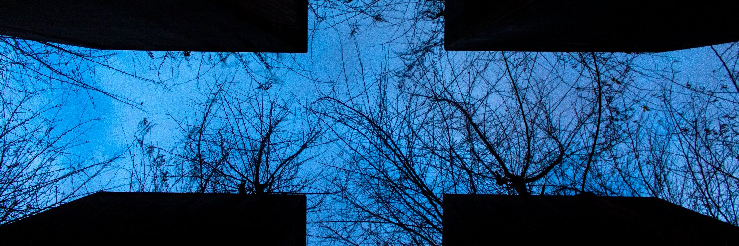 Z_ticula's profile banner image