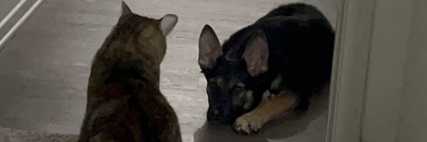 kali_bae_'s profile banner image