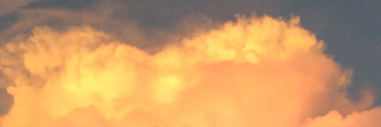 JSAttenborough's profile banner image