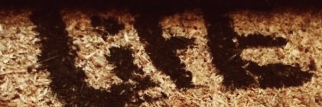 Shellz_FLM's profile banner image
