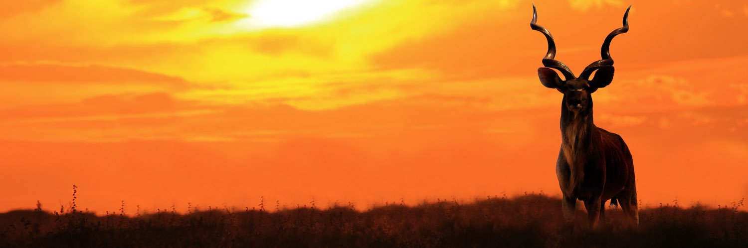 Edwinleepile's profile banner image