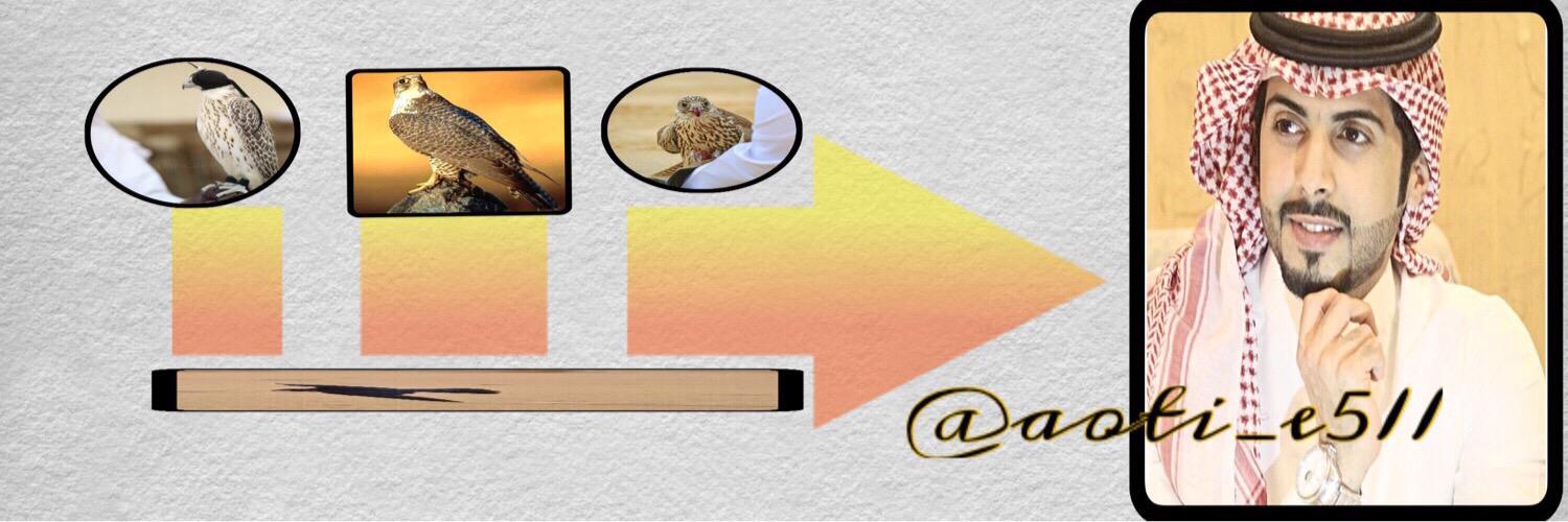 naddddrrr's profile banner image