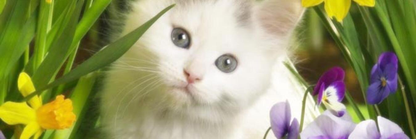 liayanafatin's profile banner image