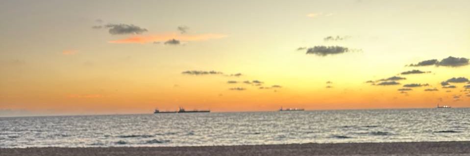 Brauli_o's profile banner image