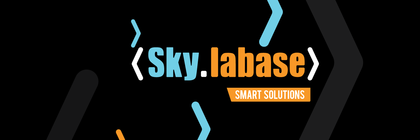 skylabase's profile banner image