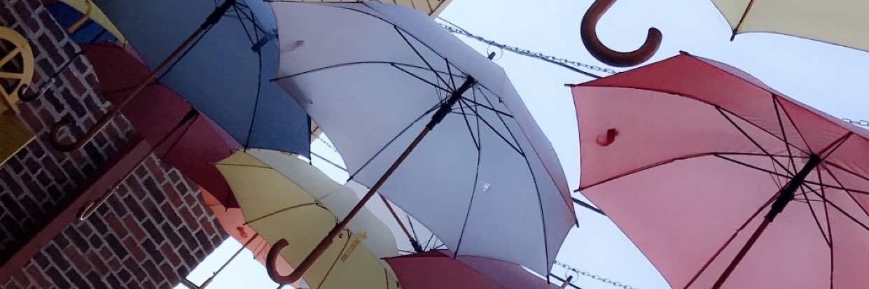 alykat_meow's profile banner image